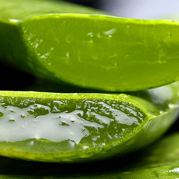 Gel douche arganicare Gel douche arganicare