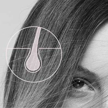 Kérastase Genesis Facteurs Biologiques Kérastase Genesis Facteurs Biologiques