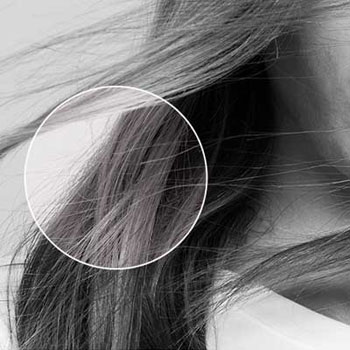 Kérastase Genesis Facteurs Externes Kérastase Genesis Facteurs Externes