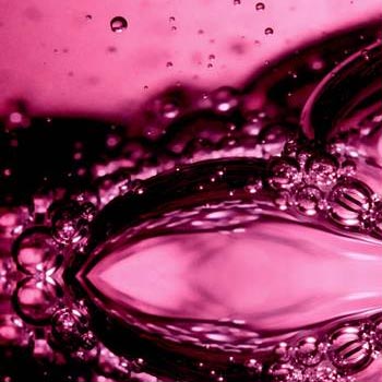 L'Oréal Pro Longer L'Oréal Pro Longer