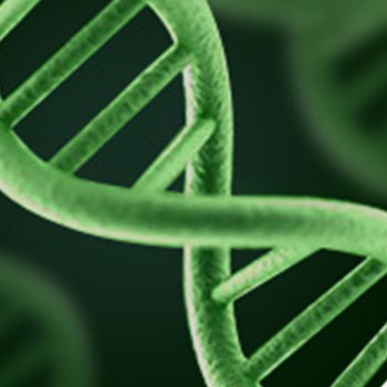 Rene Furterer Rene Furterer