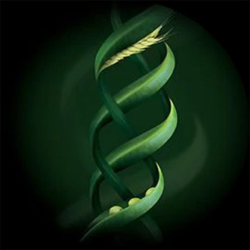 Kératine Végétale Absolue Kératine René Furterer Kératine Végétale Absolue Kératine René Furterer