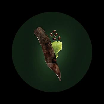 Shampooing Volumea René Furterer Shampooing Volumea René Furterer