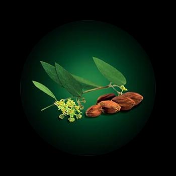 Extrait de Jojoba René Furterer Extrait de Jojoba René Furterer