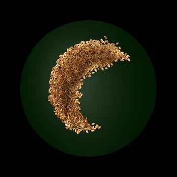 Extrait de Sésame René Furterer Extrait de Sésame René Furterer