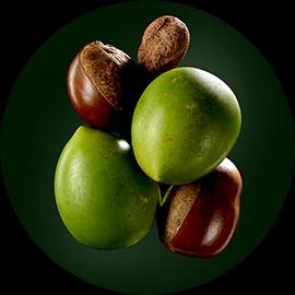 Extrait de Karité René Furterer Extrait de Karité René Furterer