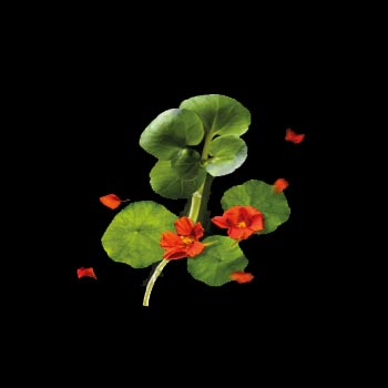 Biotrinine René Furterer Biotrinine René Furterer