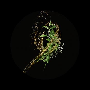 Extrait de Pfaffia René Furterer Extrait de Pfaffia René Furterer