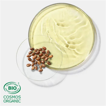 Huile De Rcin Huile De Rcin