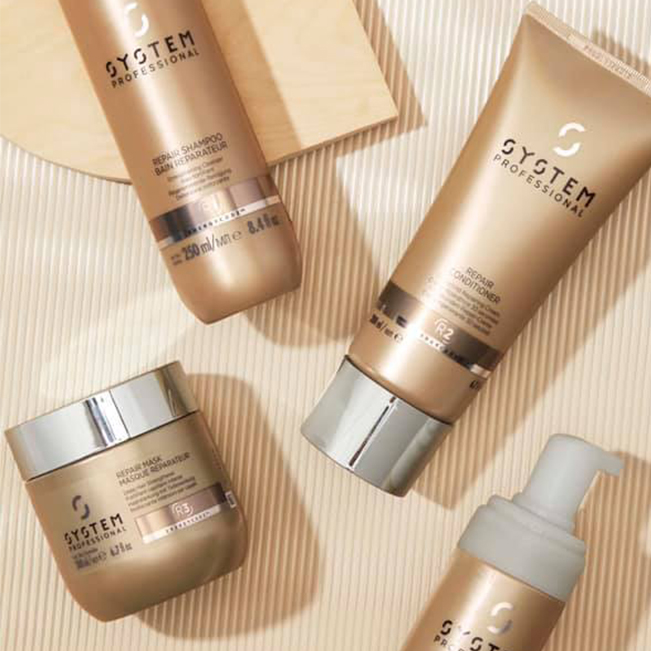 System Professional gamme Repair System Professional gamme Repair