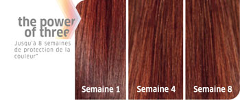 Résultats Color Motion + Wella Professionals Résultats Color Motion + Wella Professionals