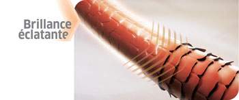 Technologie Color Motion+ Wella Professionals Technologie Color Motion+ Wella Professionals